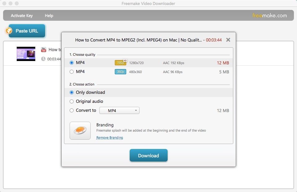 miglior downloader video gratuito - Freemake