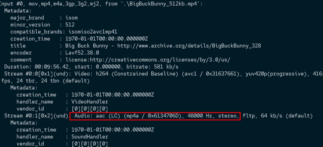 check the audio format in ffprobe
