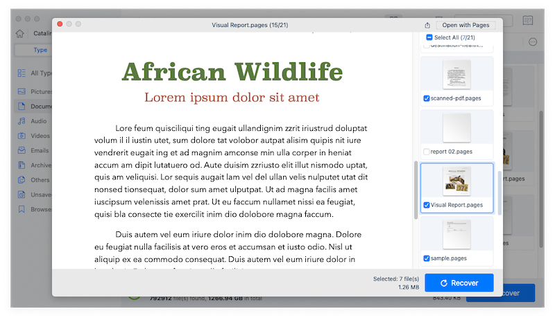 recover pages cisdem 05