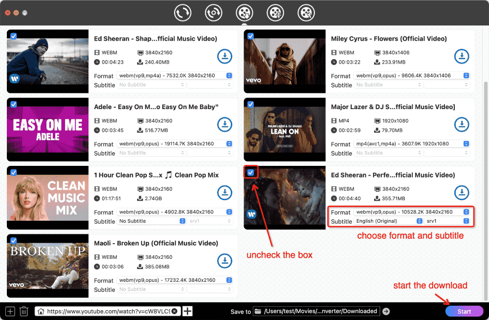 choose format and subtitles