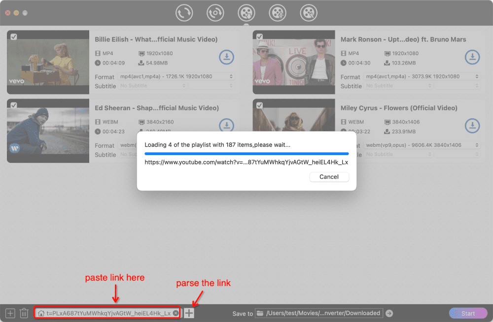 download full youtube playlist cisdem