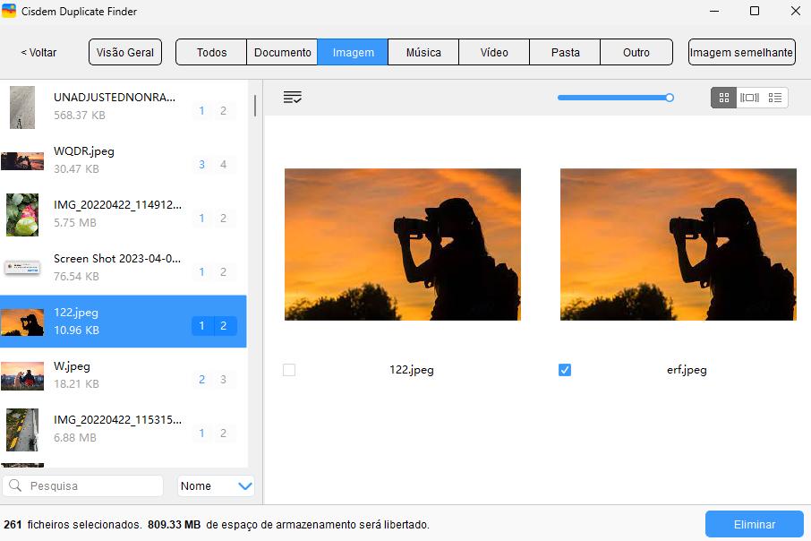 arquivos duplicados são encontrados e exibidos