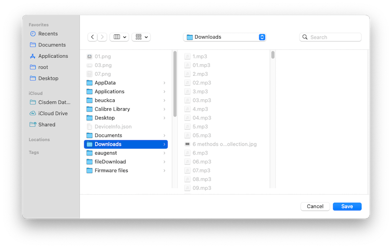 restore downloads folder cisdem 04