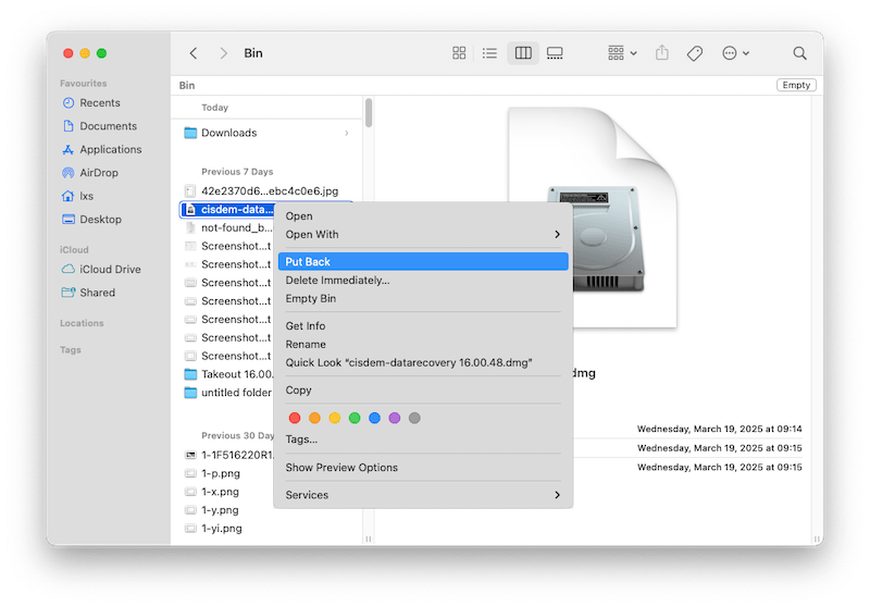 restore downloads trash