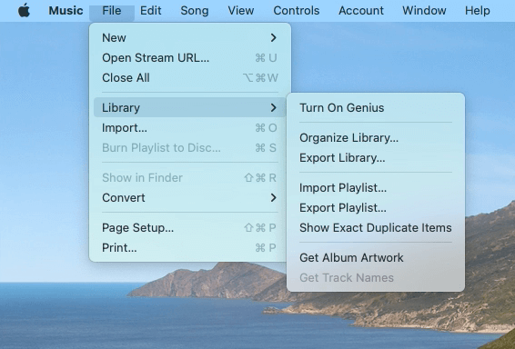 The Library menu under the File menu displaying a Show Exact Duplicate Items option