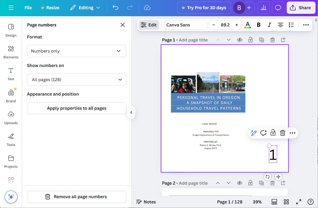 add page numbers to pdf canva03