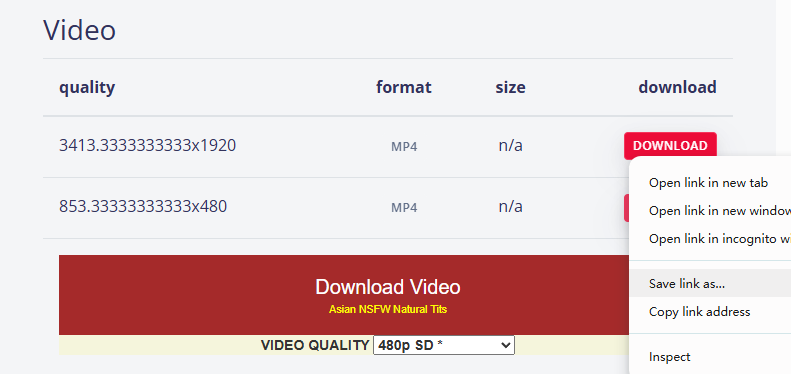 online redgifs video downloader 2