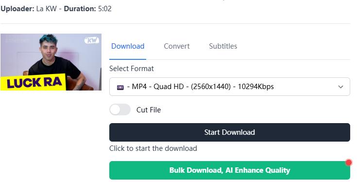 dailymotion video downloader 02