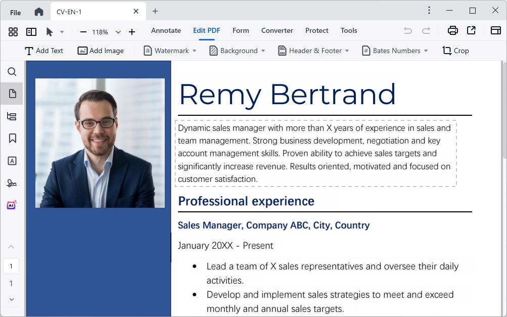 edit pdf resume cisdem02
