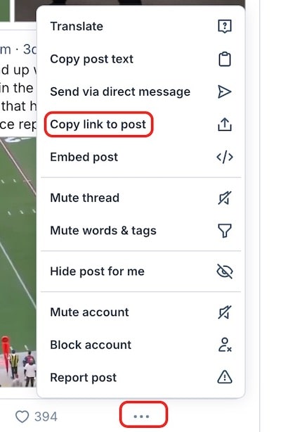 obtain bluesky video URL