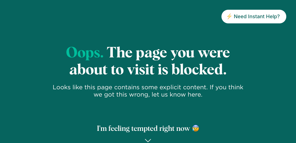 a screen saying that The page you were about to visit is blocked