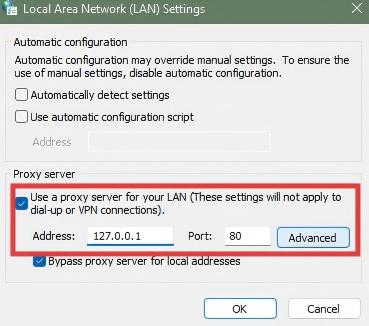 use a proxy server for your LAN