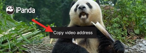copy video address