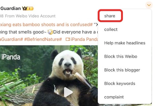 choose the share option