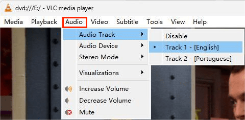 view DVD audio track in vlc