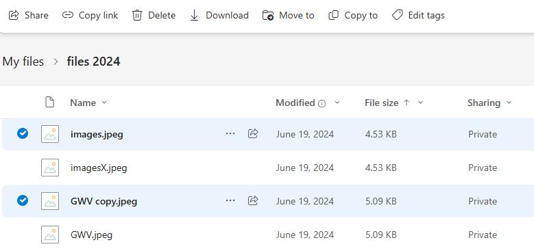 selectfiles to delete